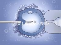 【科普】那些令人羨慕的優質胚胎有什么條件？