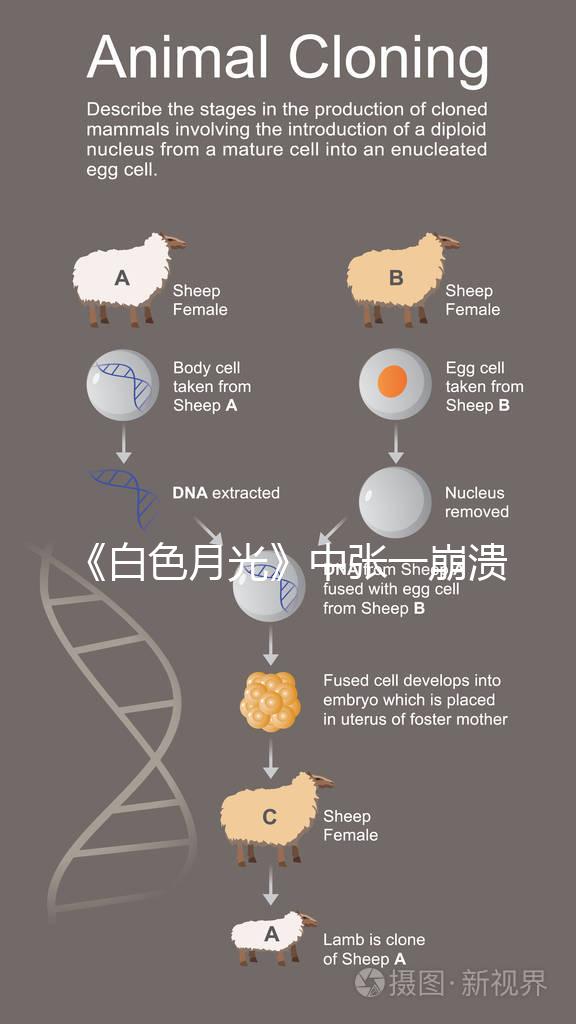 《白色月光》中張一崩潰在孩子面前哭,你認(rèn)為該不該?