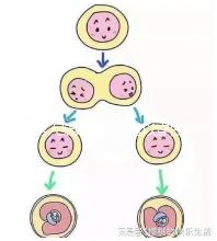 男人結(jié)婚時(shí)是否可以穿白色鞋子和白色西裝進(jìn)行分析，看看對(duì)誰(shuí)不利