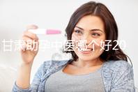 甘肅助孕中醫哪個好2024，成功率高又便宜？