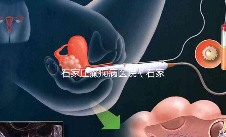 石家莊癲癇病醫(yī)院(石家莊治癲最厲害三個(gè)醫(yī)院)