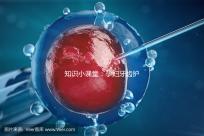 知識(shí)小課堂：孕婦牙齒護(hù)理多嚼木糖醇口香糖