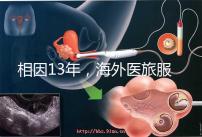 相因13年，海外醫旅服務標準制定者