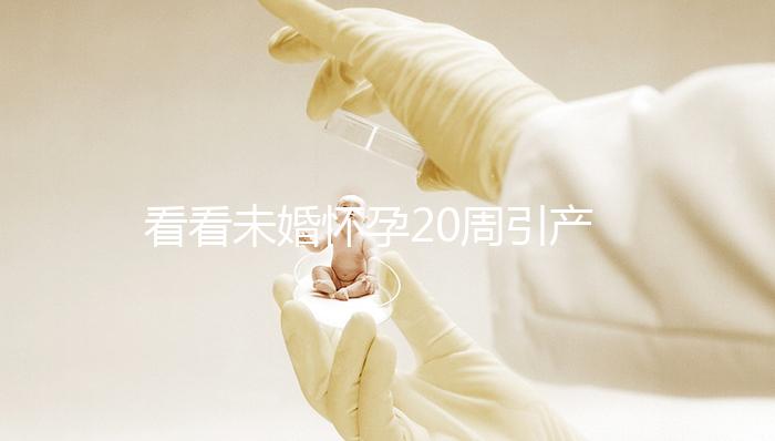 看看未婚懷孕20周引產需要哪些手續和證明，不要再錯過了