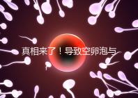 真相來(lái)了！導(dǎo)致空卵泡與多囊卵巢有關(guān)，區(qū)別在于以下四點(diǎn)，多研究