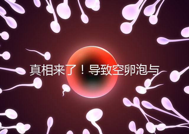 真相來了!導(dǎo)致空卵泡與多囊卵巢有關(guān),區(qū)別在于以下四點,多研究