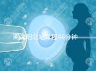 離沈陽(yáng)北站車程46分鐘！沈陽(yáng)菁華醫(yī)院地址及路線一覽