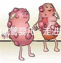 美國(guó)試管嬰兒：走進(jìn)冷凍卵子技術(shù)