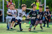 精子前向運動率21原因有三，4種藥膳幫你提高活力