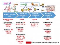 精子濃度高需及時治療，搭配飲食調理助你突破生育危機