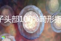精子頭部100%畸形指數(shù)1.69，試管這條路還能通