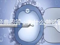 經典問答：為什么做試管嬰兒醫生建議我胚胎養囊？