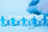 細看！維哈維培精素是什么，內含詳細說明書和成分介紹