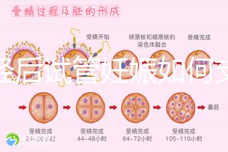 絕經后試管妊娠如何支持黃體戳，醫生：掌握時間很重要