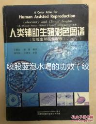 絞股藍(lán)泡水喝的功效（絞股藍(lán)泡水喝的功效與作用）