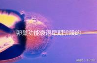 卵巢功能衰退早期階段的妊娠率釋疑，供卵試管嬰兒可>50%