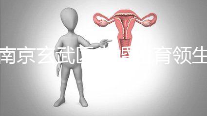 南京玄武區未婚生育領生育金看條件,社會撫養費交不了多少