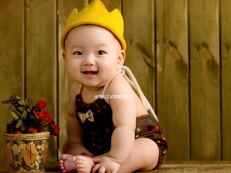 全國私立試管醫(yī)院排名,附兩家助孕機(jī)構(gòu)成功率與費用