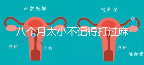 八個月太小不記得打過麻風(fēng)疫苗看這,2大反應(yīng)教你辨別