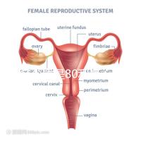 借多少錢(qián)是80利息（借多少錢(qián)是80利息的）