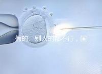 假的、別人的都不行，國內(nèi)做試管無結(jié)婚證真不能過關(guān)！
