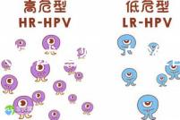 做供精試管嬰兒的準備（供精試管嬰兒大概需要多少錢）