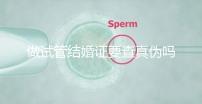 做試管結(jié)婚證要查真?zhèn)螁幔ㄗ鲈嚬芙Y(jié)婚證要查真?zhèn)螁岫嗌馘X(qián)）