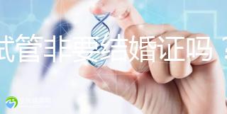 做試管非要結婚證嗎?試管是不是需要結婚證