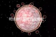 司法親子鑒定流程揭密，附準備材料請一并參考