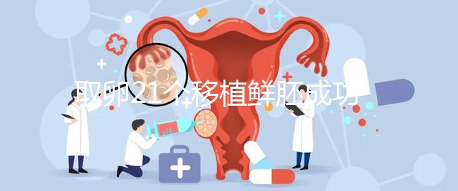 取卵21個移植鮮胚成功率真不低，前提：等卵巢恢復后再手術