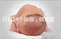 只有14個卵泡，做試管嬰兒到底要不要養囊？