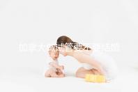 加拿大做試管要不要結(jié)婚證不知道，但這2樣證件必須要！