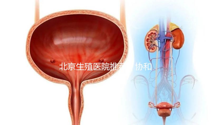 北京生殖醫院推薦！協和、北醫三院等三甲醫院介紹