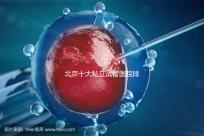 北京十大私立試管醫(yī)院排名2025年版本介紹