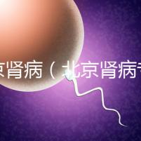 北京腎?。ū本┠I病專家排名）