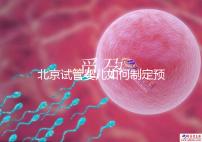 北京試管嬰兒如何制定預算，費用解析必看