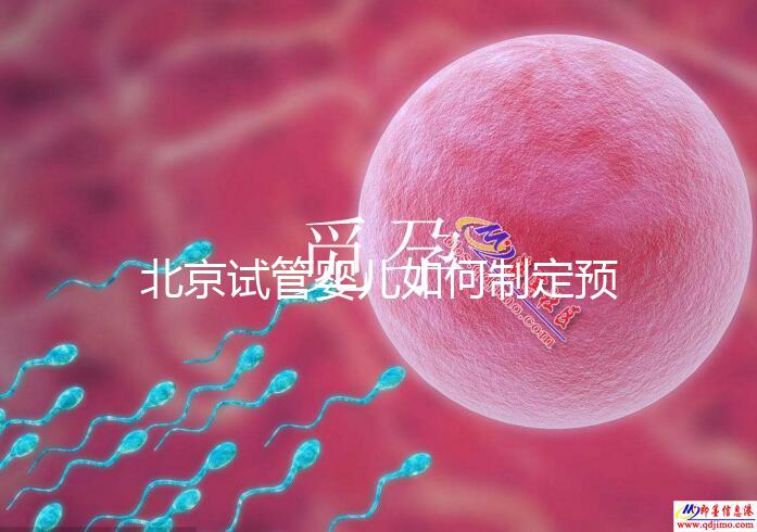 北京試管嬰兒如何制定預(yù)算,費用解析必看