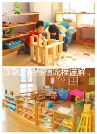 凍融胚胎移植流程詳解，3種內膜準備方案需注意