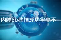 內膜8b移植成功率高不高分析，掌握好時間放凍胚也能著床