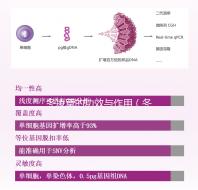 冬凌草的功效與作用（冬凌草的功效與作用的功能與主治）