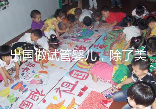 出國做試管嬰兒,除了美國還有哪些可選?各國技術(shù)水平盤點