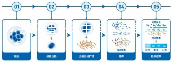 別只造一天中早上易受孕生男孩，60秒教你算出最佳同房時間