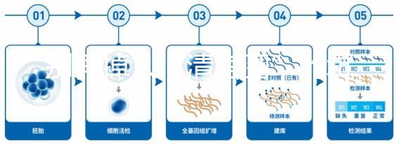 別再掉入“清宮圖”的坑中！備孕不應錯過女性最佳生育年齡
