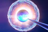 剛剛出爐！2024泰國試管嬰兒醫院最新排行榜