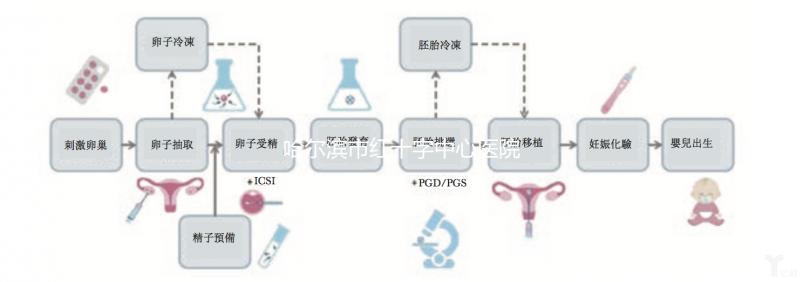 哈爾濱市紅十字中心醫院試管怎么樣？2024年助孕成功率數據共享