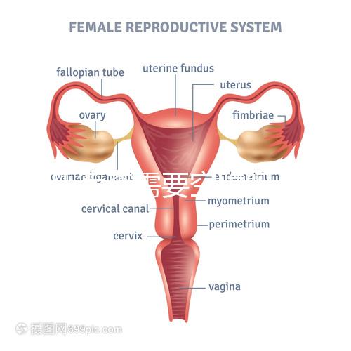 唐氏篩查需要空腹嗎,無錫醫(yī)院單項費用最低一百八十五