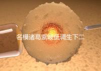 名模諸葛紫岐低調生下二胎，孕7個月肚子扁平成焦點