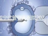 咸寧試管嬰兒醫院2024年成功率排名公開，哪家好一目了然