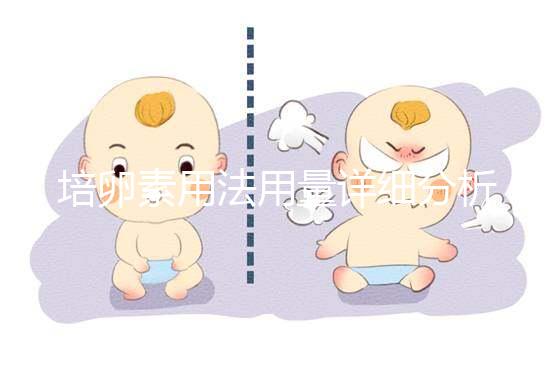 培卵素用法用量詳細(xì)分析,不同情況服用時(shí)間有差異