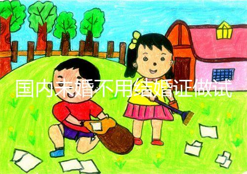 國內(nèi)未婚不用結(jié)婚證做試管機(jī)構(gòu)都有哪些？